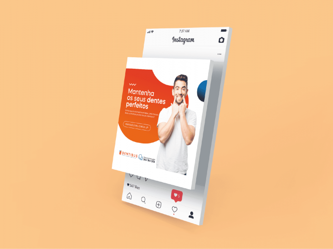Gestão de redes sociais da Dentibus - Portfólio Pointless